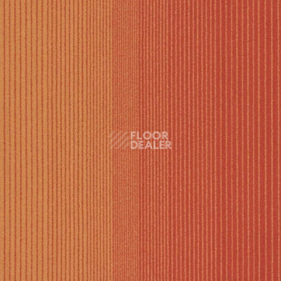 Ковровая плитка Interface Fastforward 608135 Pumpkin фото 1 | FLOORDEALER